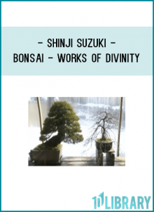 tem : DVD BONSAI ” Works of Divinity”English Version/Shinji Suzuki Bonsai, Works of Divinity Nature’s power brings life back