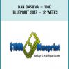 Dan Dasilva – 100K Blueprint 2017 – 12 Weeks at Tenlibrary.com