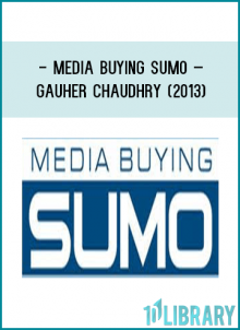 Media Buying Sumo 2013 Live Workshop !