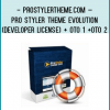 Pro Styler Theme Pro Upgrade for $47.00. With this package you get the above mentioned color scheme templates together with a bunch of graphics.