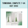 http://tenco.pro/product/turnsignal-complete-7-6a-oct-2013/