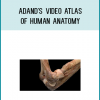 Do your students need more time in the dissection lab or virtual lab? Acland’s Video Atlas of Human