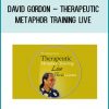 David Gordon – Therapeutic Metaphor Training LIVE at Tenlibrary.com