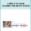 A Bundle Of Self Healing Telejourneys from Amethyst Wyldfyre at Midlibrary.com