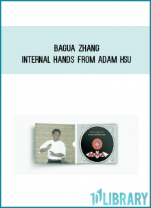 Bagua Zhang - Internal hands from Adam Hsu atr Midlibrary.com