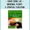 David Crow, LAc - Medicinal Plants & Spiritual Evolution at Tenlibrary.com