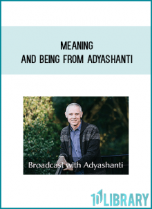 Meaning and Being from Adyashanti at Midlibrary.com