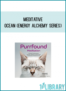 Meditative Ocean (Energy Alchemy Series) from iAwake Technologies at Midlibrary.com