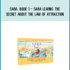 Sara, book 1 - Sara Learns the Secret about the Law of Attraction from Abraham Hicks at Midlibrary.com