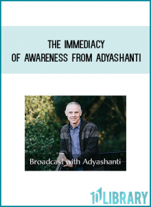 The Immediacy of Awareness from Adyashanti at Midlibrary.com
