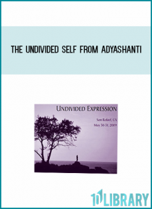 The Undivided Self from Adyashanti at Midlibrary.com