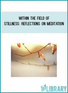 Within the Field of Stillness Reflections on Meditation from Adyashanti at Midlibrary.com