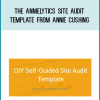 the Annielytics Site Audit Template from Annie Cushing at Midlibrary.com