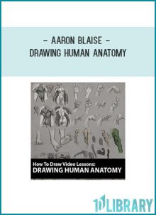 Aaron Blaise - Drawing Human Anatomy at Tenlibrary.com