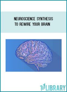 Neuroscience Synthesis To Rewire Your Brain at Tenlibrary.com