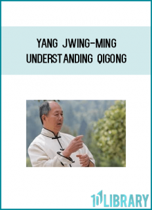 Dr. Yang gave an assessment of his qigong theory regarding small circulation.
