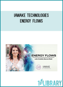 iAwake Technologies – Energy Flows