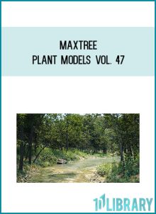Maxtree – Plant Models Vol. 47 at Midlibrary.net