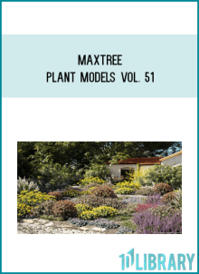 Maxtree – Plant Models Vol. 51 at Midlibrảy.net