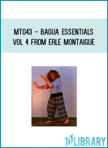 MTG43 - Bagua Essentials Vol 4 from Erle Montaigue at Midlibrary.com