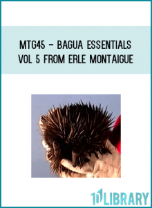 MTG45 - Bagua Essentials Vol 5 from Erle Montaigue at Midlibrary.com