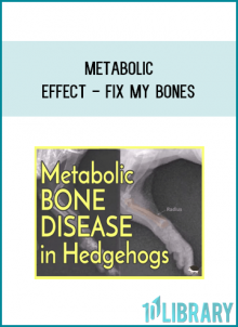 Metabolic Effect - Fix My Bones at Midlibrary.com