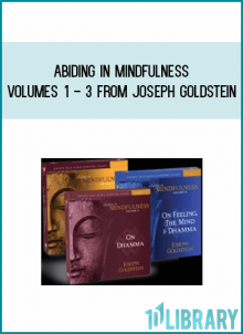 Abiding in Mindfulness Volumes 1 - 3 from Joseph Goldstein at Midlibrary.com