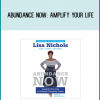 Abundance Now Amplify Your Life & Achieve Prosperity Today from Lisa Nichols & Janet Switzer at Midlibrary.com
