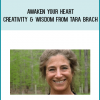 Awaken Your Heart, Creativity & Wisdom from Tara Brach at Midlibrary.com
