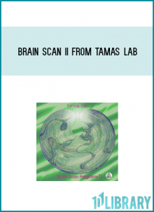 Brain Scan II from Tamas Lab at Midlibrary.com