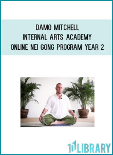 Damo Mitchell – Internal Arts Academy – Online Nei Gong Program Year 2 at Midlibrary.net