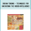 Dream Tending - Techniques for Uncovering the Hidden Intelligence of Your Dreams from Stephen Aizenstat at Midlibrary.com