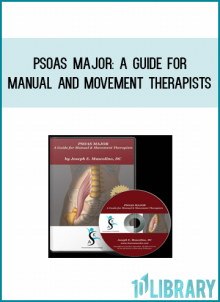 Psoas Major A Guide for Manual and Movement Therapists from Joseph Muscolino at Midlibrary.com