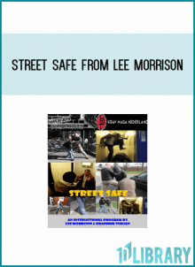 Street Safe from Lee Morrison at Midlibrary.com