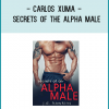 Secrets of the Alpha Man” program contains over 7 hours (6 CDs) of high-quality tips, exercises, advice, tricks, examples, and concepts…