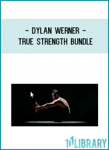 7 series included in this BundleDylan Werner's "Beginner True Strength" Online Video Workouts on Alo Moves