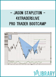 Comprehensize $2.5k forex course covering everything from Gartley, butterfly patterns, ratios to fibs. More of a swing trader method.