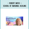 With Bestselling Author and Dream ShamanRobert MossNew 12-Week Video Training Starts