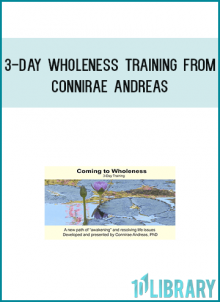 The 3-Day Wholeness Training is a great addition to your Wholeness learning library, and can deepen your experience with the processes.