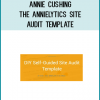 Annie Cushing - The Annielytics Site Audit Template