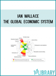Ian Wallace - The Global Economic System
