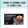 Phoenix FD Beginner Liquid FX Course (2019)