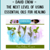 Discover more about the healing powers of essential oils…