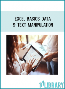 Excel Basics Data & Text Manipulation