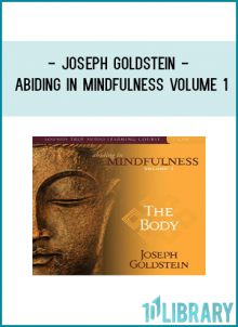 Joseph Goldstein - ABIDING IN MINDFULNESS VOLUME 1