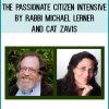 In this 10-week transformational program, Cat Zavis and Rabbi Lerner will guide you through the fundamental skills and competencies for sustainable