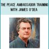 These sessions are a combination of live teaching and the very best core faculty interviews from previous Peace Ambassador Trainings