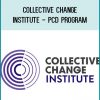 Collective Change Institute (CCI)’s professional coach development program is for individuals who wish to be professionally certified coaches