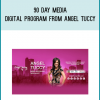 90 Day Media Digital Program from Angel Tuccy at Midlibrary.com