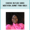 Chakras on Fleek Guided Meditation Journey from Abiola at Midlibrary.com